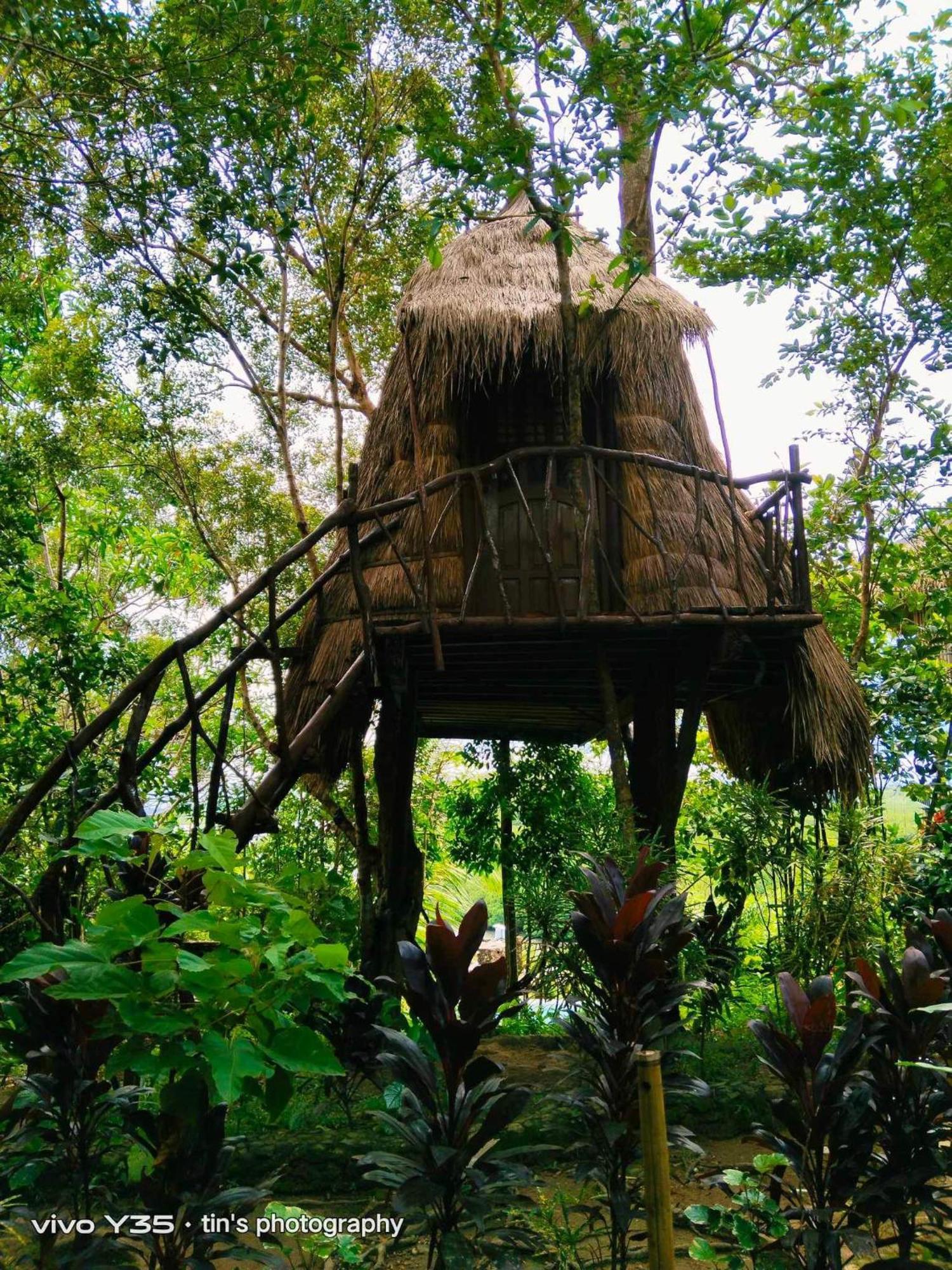 Sanctuaria Treehouses Busuanga Exterior foto