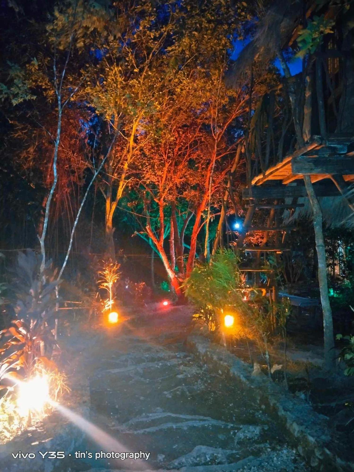 Sanctuaria Treehouses Busuanga Exterior foto