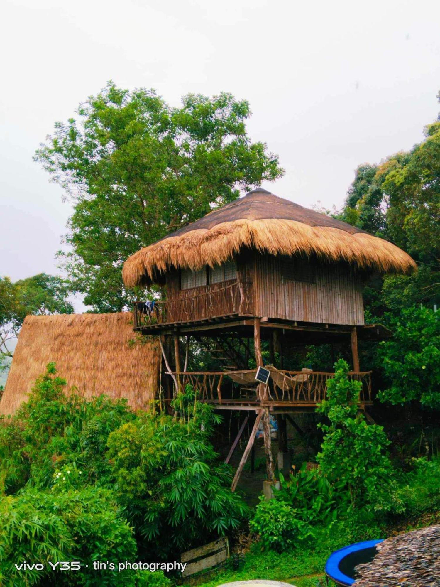Sanctuaria Treehouses Busuanga Exterior foto