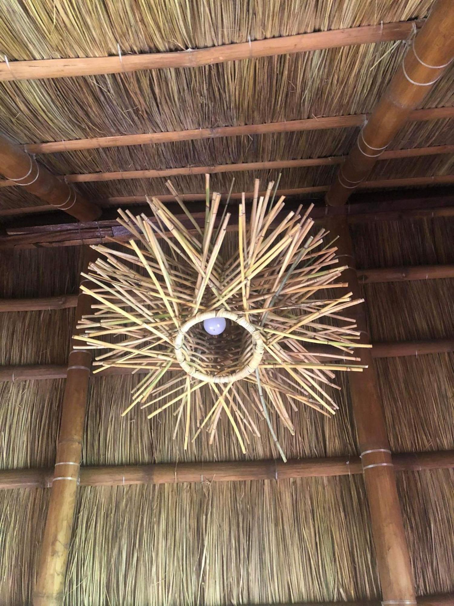 Sanctuaria Treehouses Busuanga Exterior foto