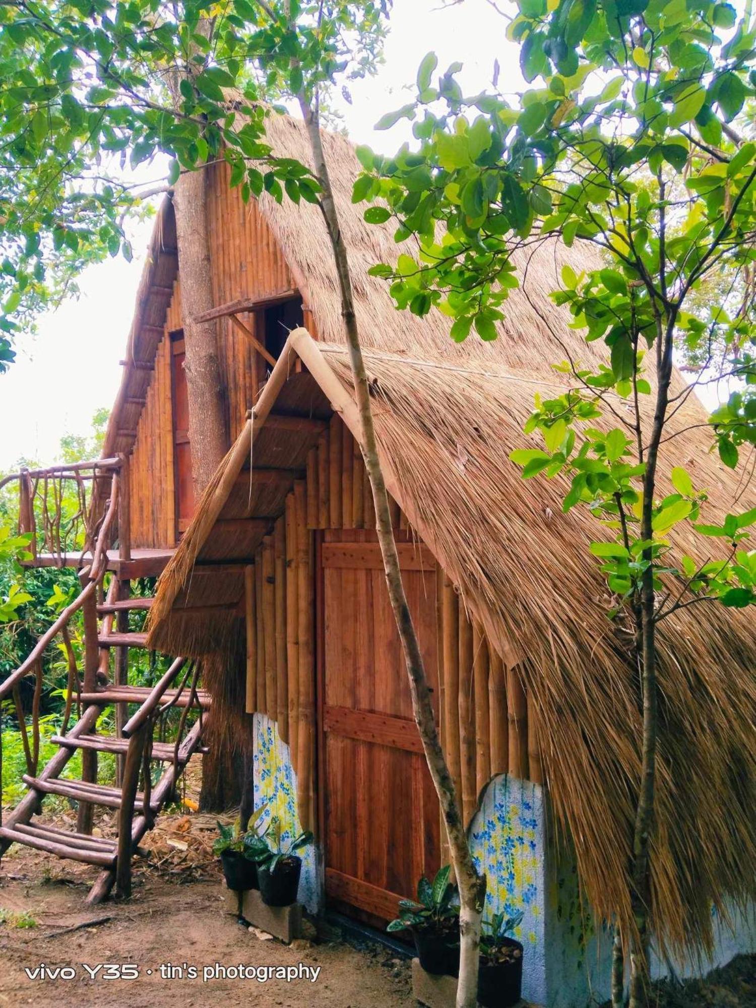 Sanctuaria Treehouses Busuanga Exterior foto